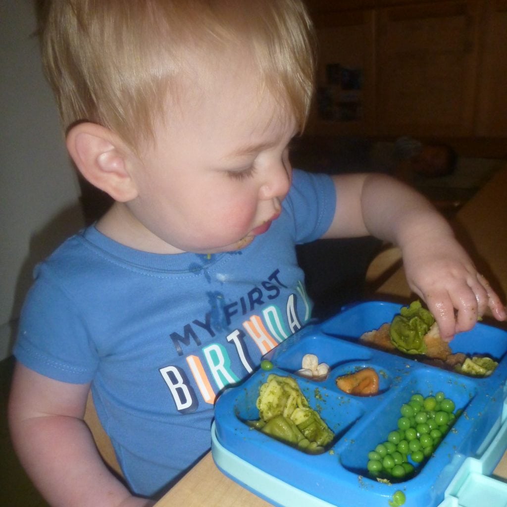 3 - sq -Healthy eating in the toddler years