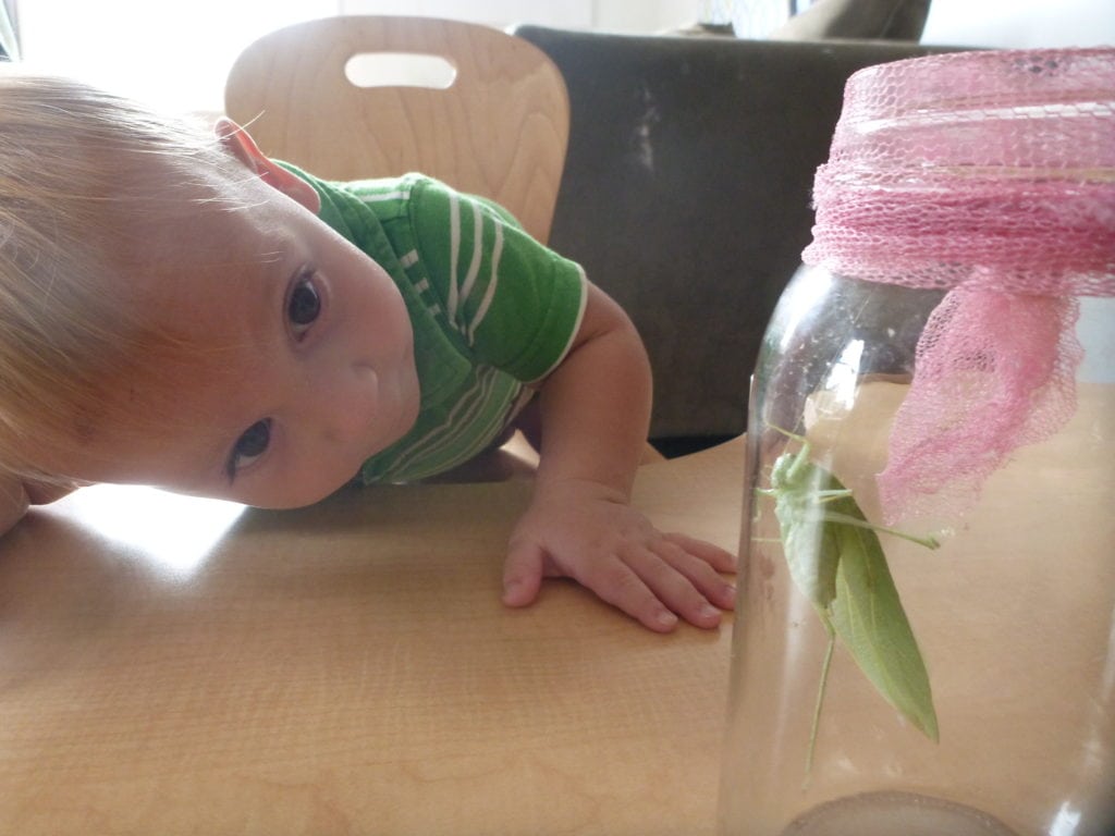 hoirzontal Reggio Inspired Toddlers Exploring