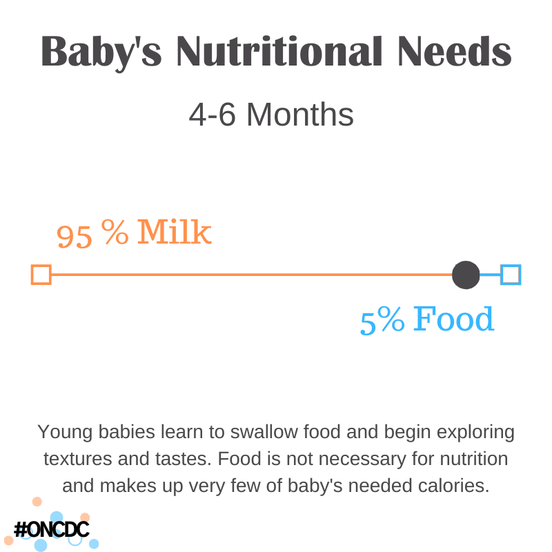 Nutritious Food Chart for Your 6-Month-Old Baby