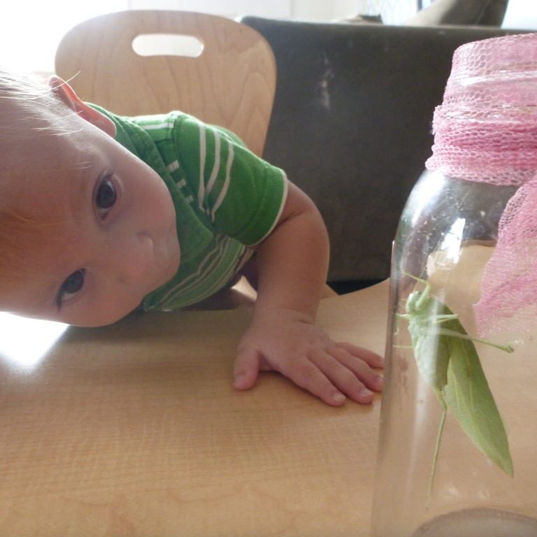 Reggio Inspired Toddlers Exploring